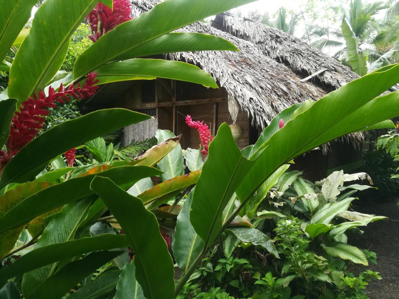 Posada Villamaga El Valle  Eksteriør bilde